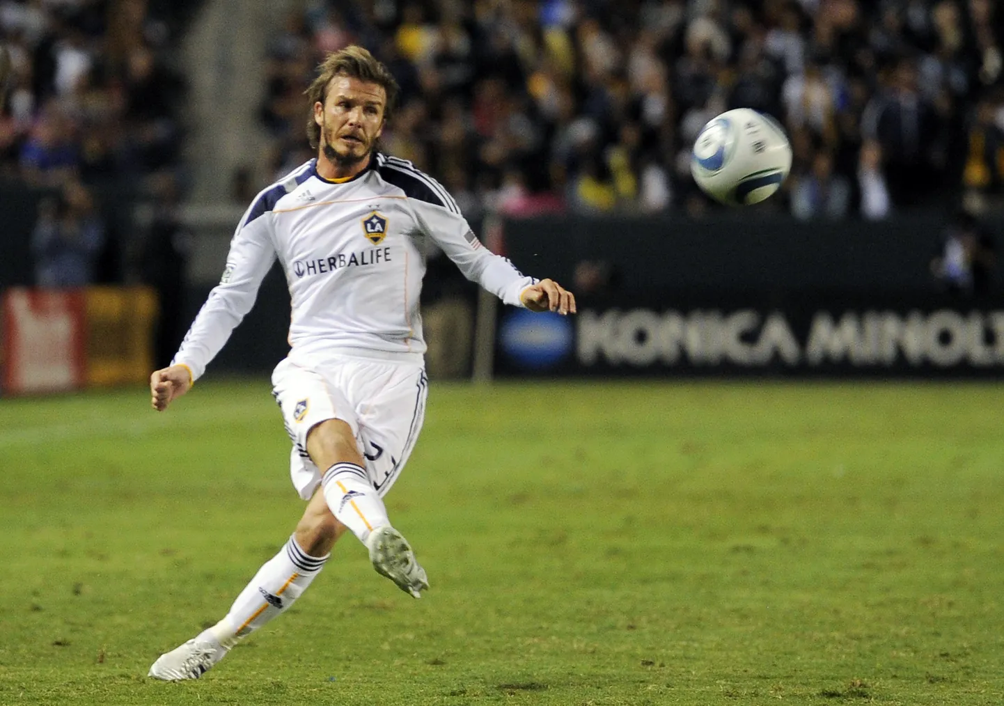 David Beckham.