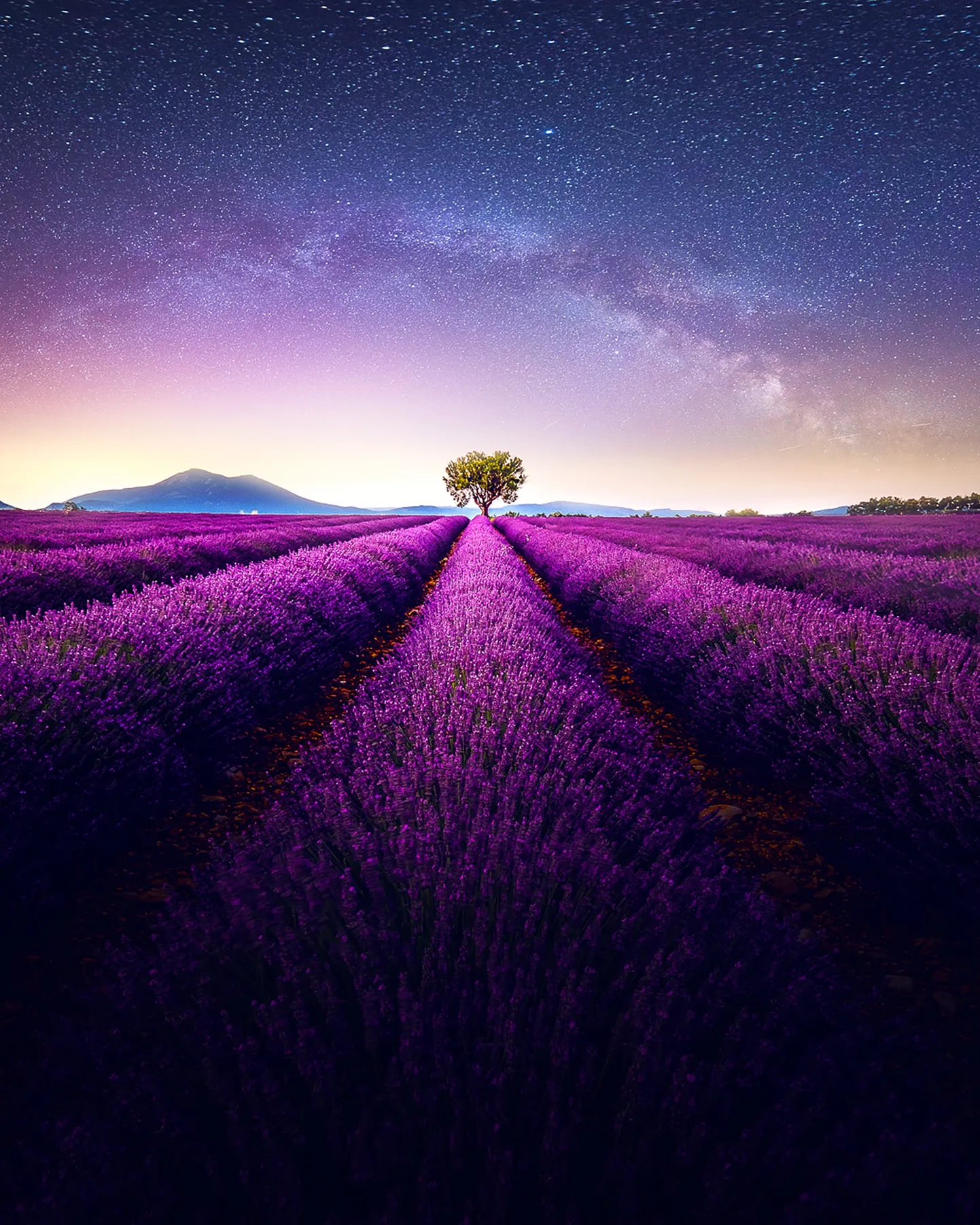 Artikli foto