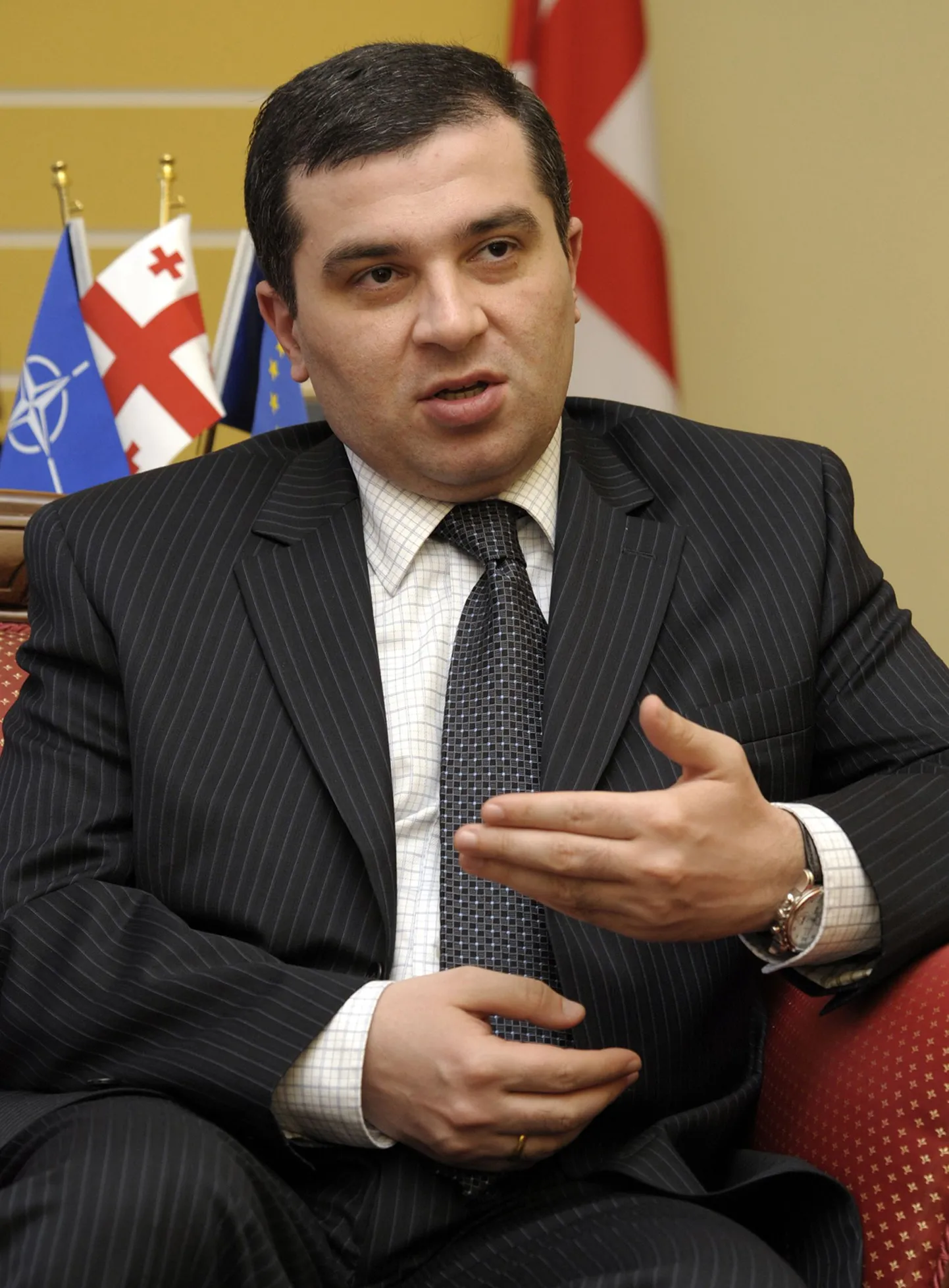 Председатель парламента Грузии Давид Бакрадзе
