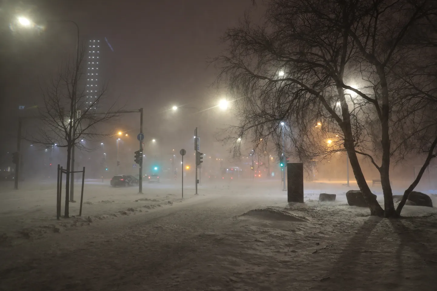 Фото статьи