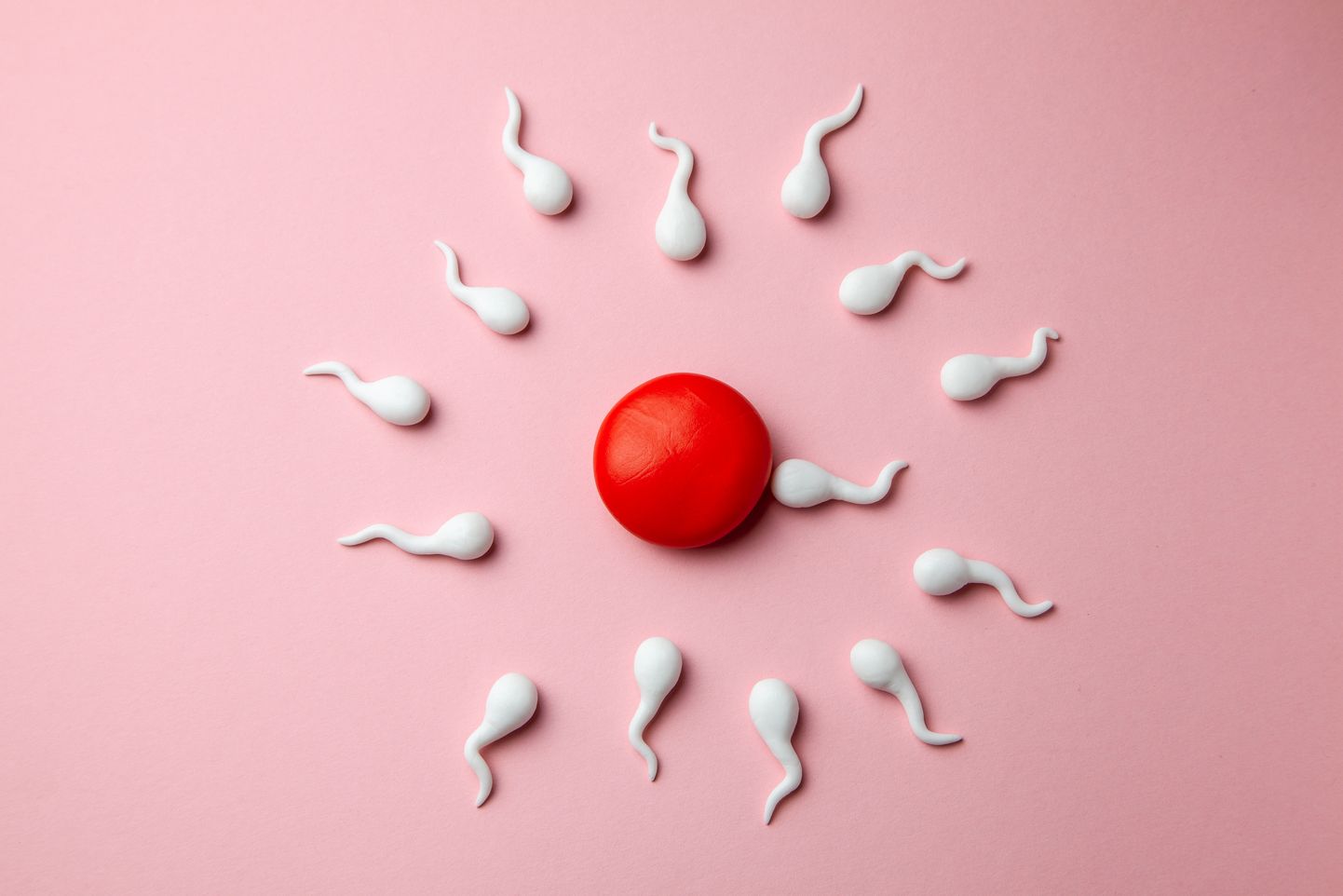 Вирус Covid-19 может привести к необратимому снижению качества спермы.