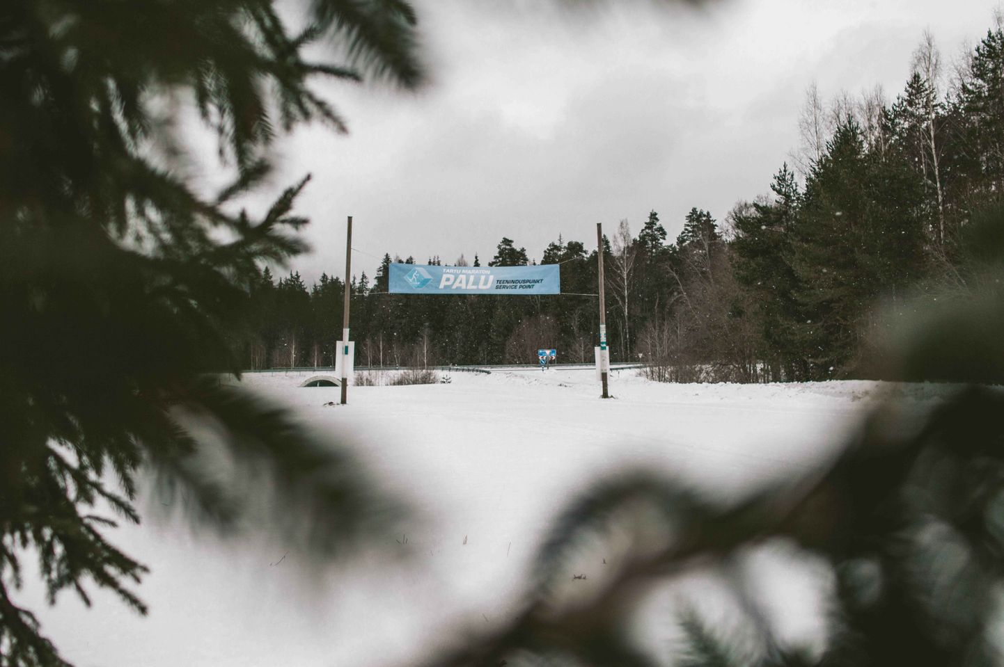 Лыжня Тартуского лыжного марафона полностью готова.