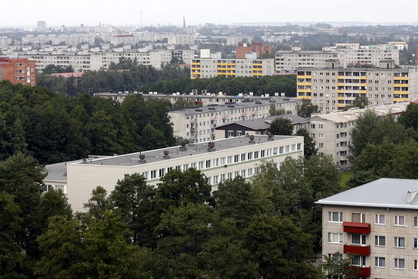 Kui korterite müügile ennustab Purre veel mitmeks aastaks madalseisu, siis üüriturule annab kujunenud olukord just eelise.