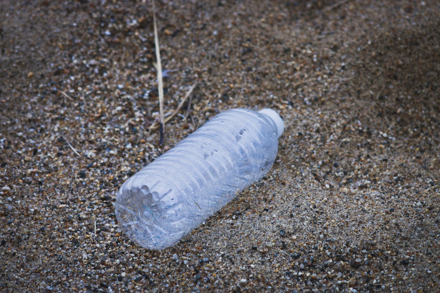 Plastmasas pudele pludmalē