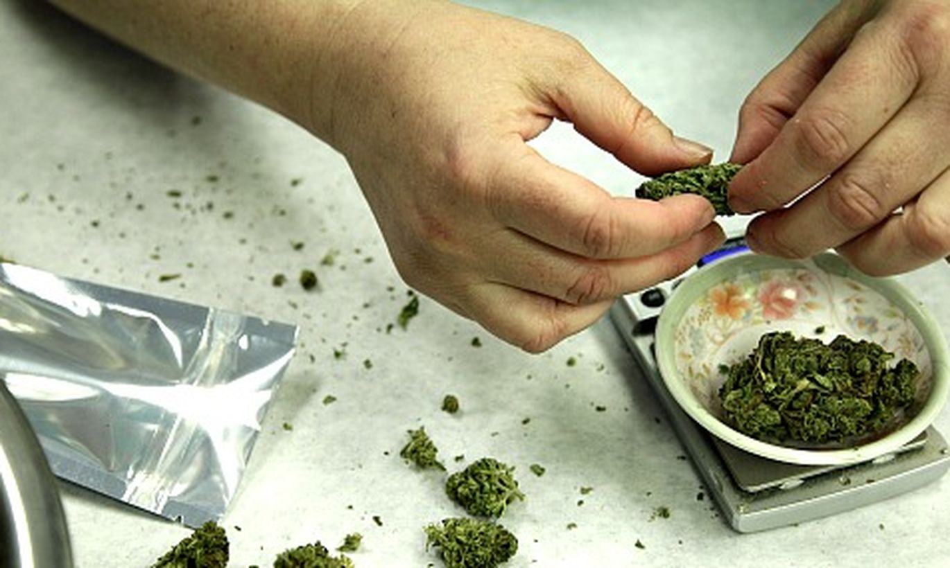 Как приготовить наркотик из конопли лекарственной марихуаны