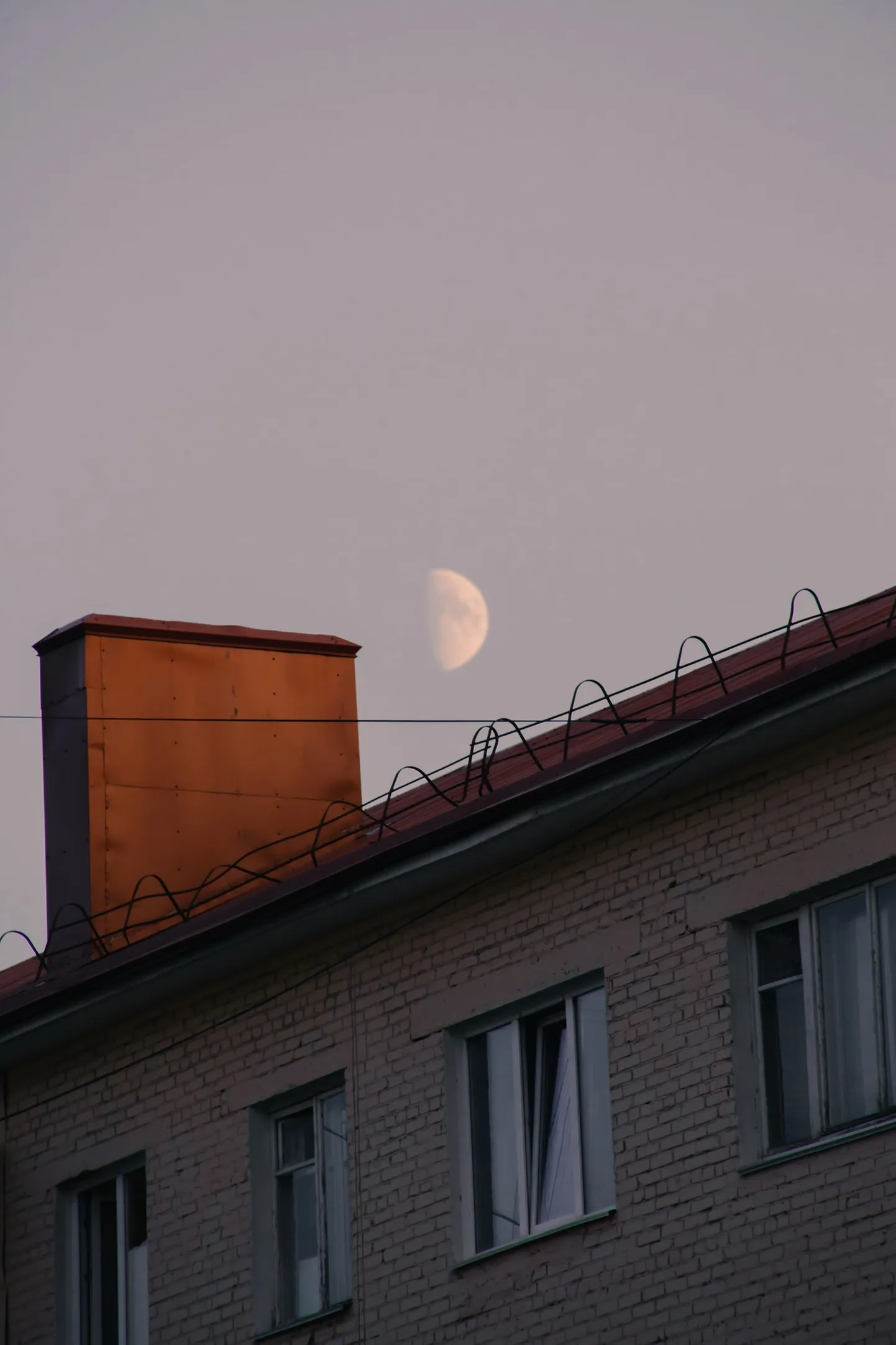 Suur kütmine pole veel alanudki, aga juba on metsikult õnnetusi.