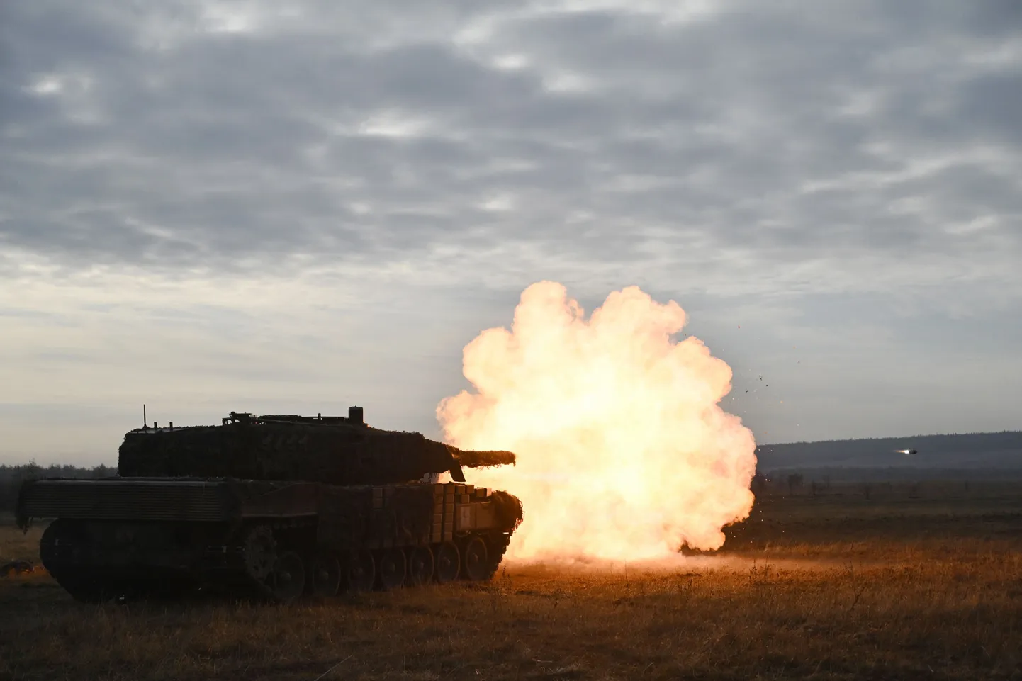 Leopard Ukraina rindel.