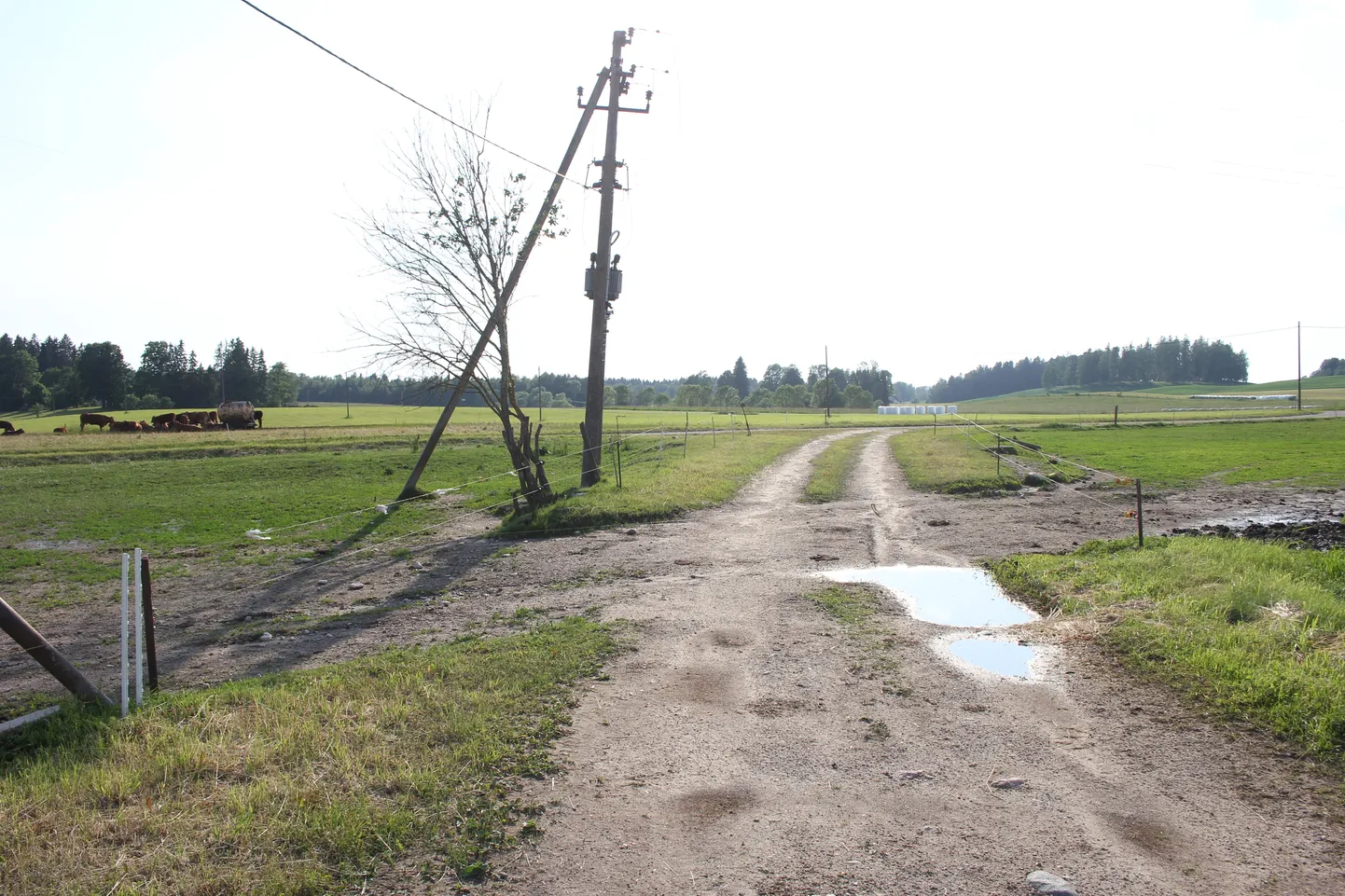 Suletud teelõigu kinnistu elanik Arno Lillemaa soovitas naabril sõitmiseks valida peaaegu sama otse Otepää-Tartu maanteele viiva tee. Seal takistab läbisõitu taas kord eramaale jääv elektrikarjus, aga Lillemaa sõnul saaks selle lihtsa vaevaga eest ära tõsta.