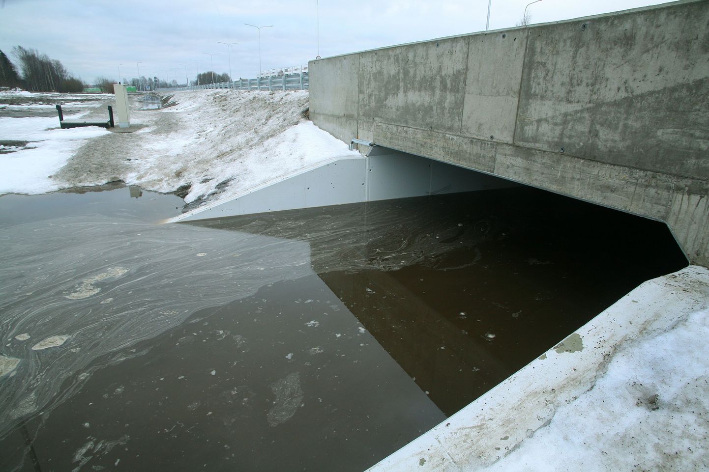 Ehitajate tee Kuldse Kodu bussipeatuse juures asuv jalakäijate tunnel on täitunud lumesulaveega.
