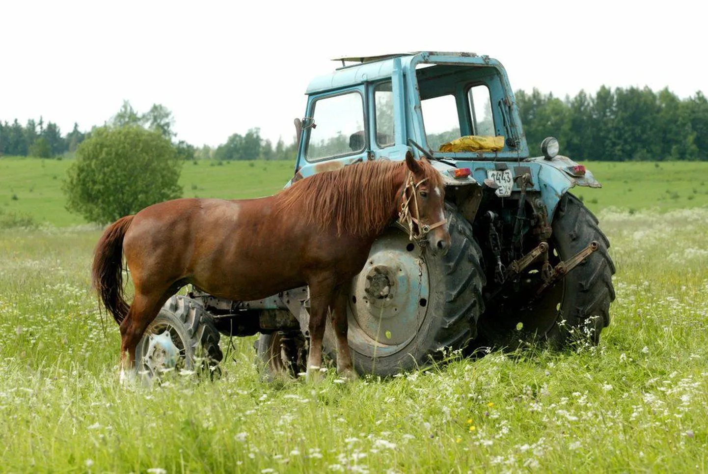 Hulk talunikke teevad tänavu tööd põldudel, mille eest maamaks on tasumata.