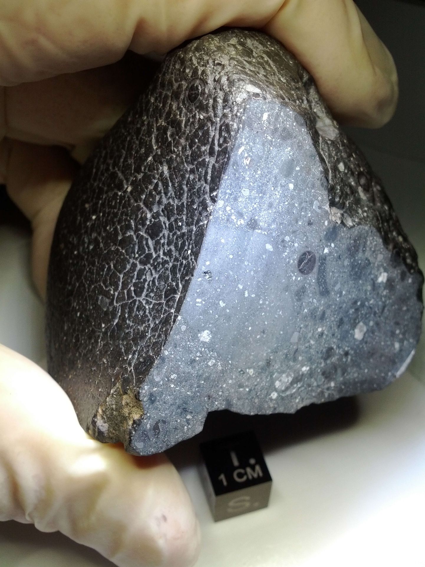 Marsi meteoriit Northwest Africa (NWA) 7034