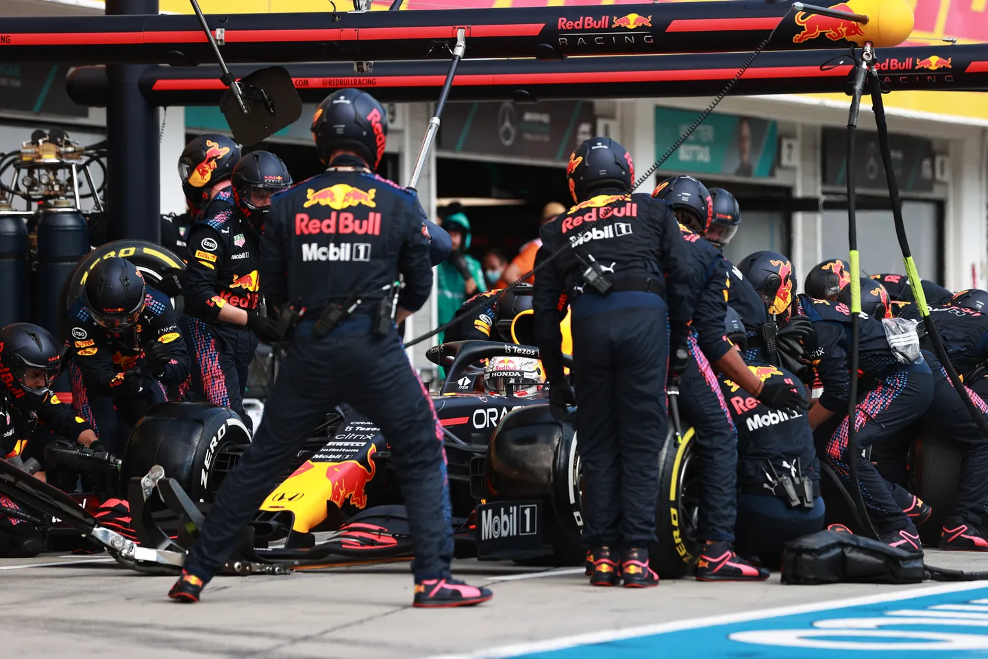 Max Verstappen boksiteel.
