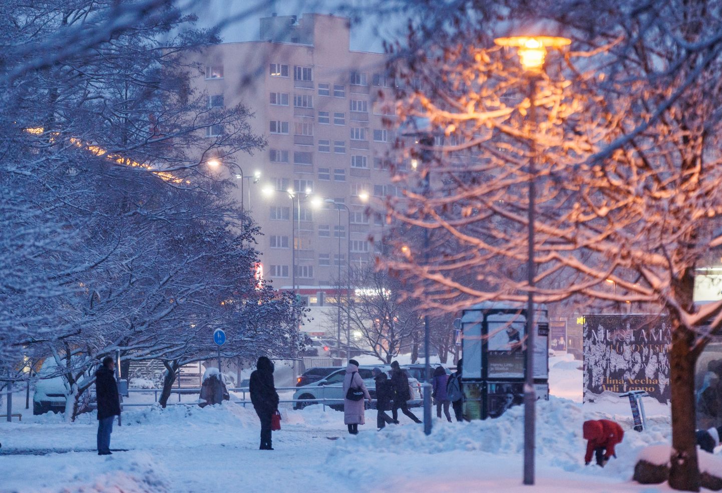 Таллинн зимой. Снимок иллюстративный.