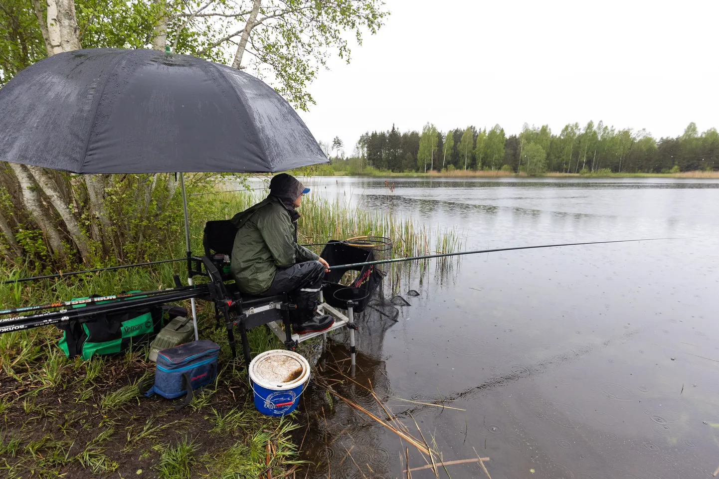 Kolmapäeval sajab vihma.