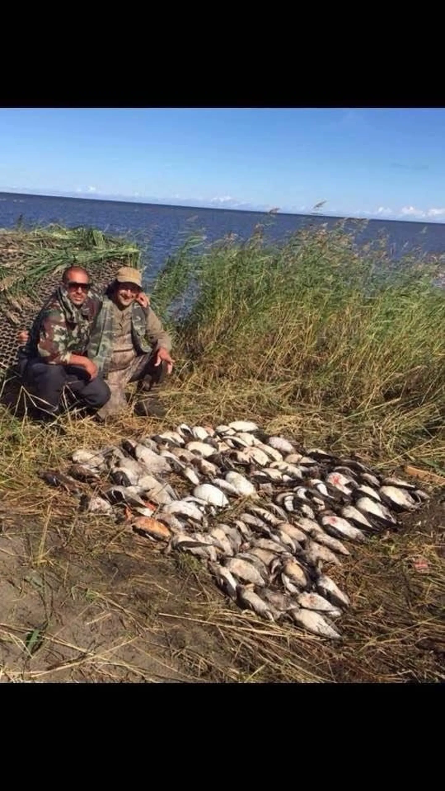 LINNUJAHT LEISIS: Mitmekümne korrapäraselt ritta seatud surnud linnuga poseerimine on jahituristidele isemoodi hobiks saanud. Foto tehtud 2016. aastal.