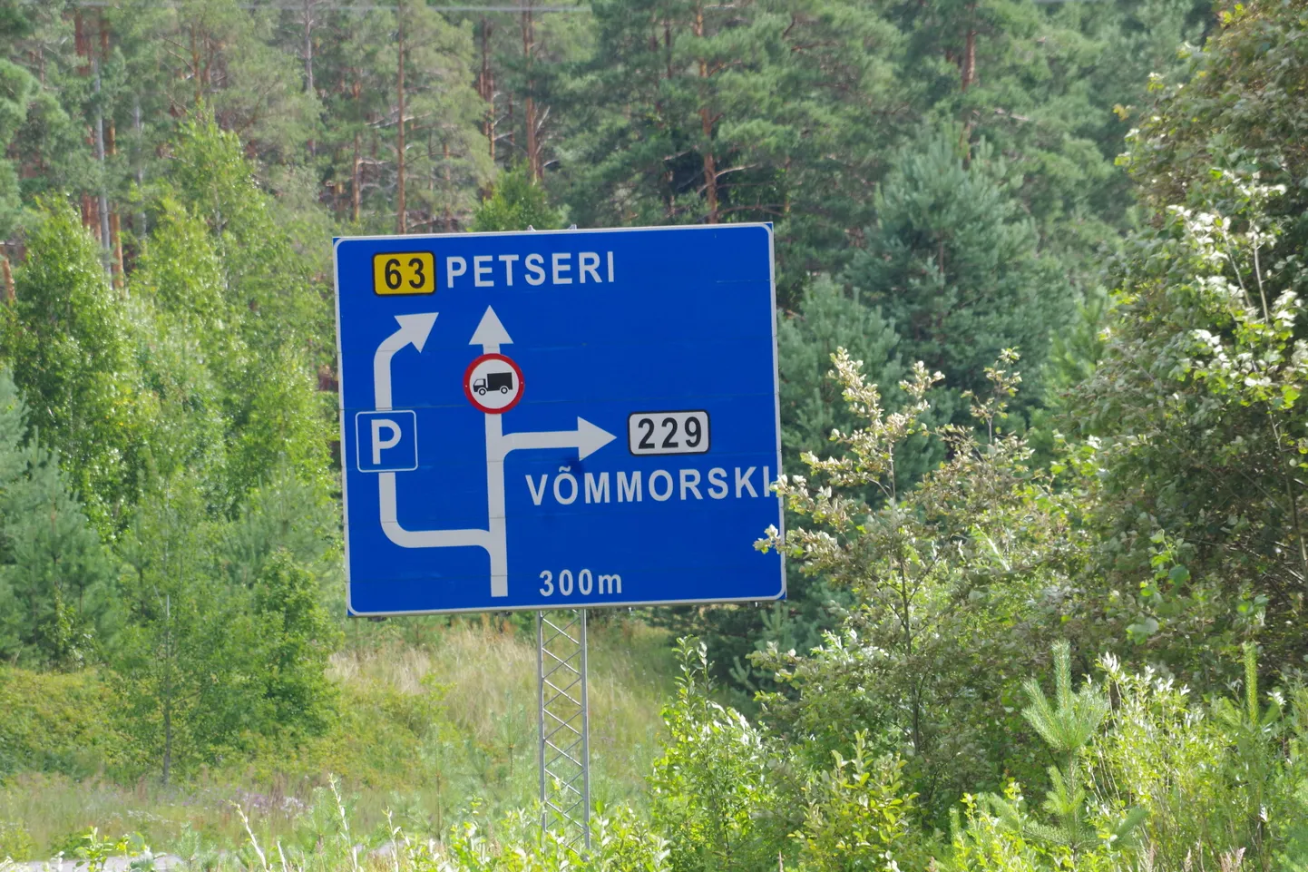 Liiklusmärk Koidula piiripunkti lähistel. Foto pole sündmusega seotud.