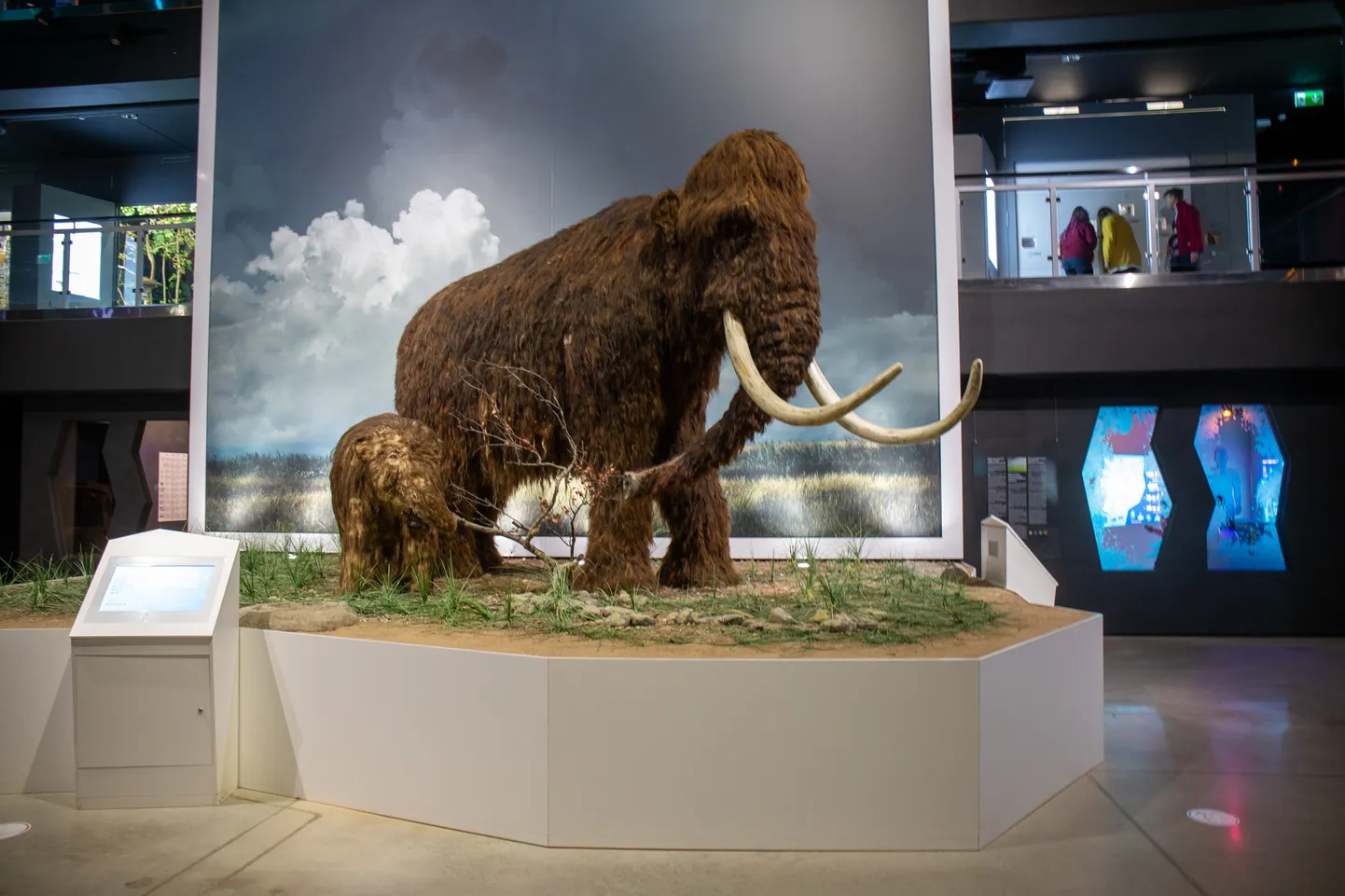 Jääaja keskuse vapiloom mammut.