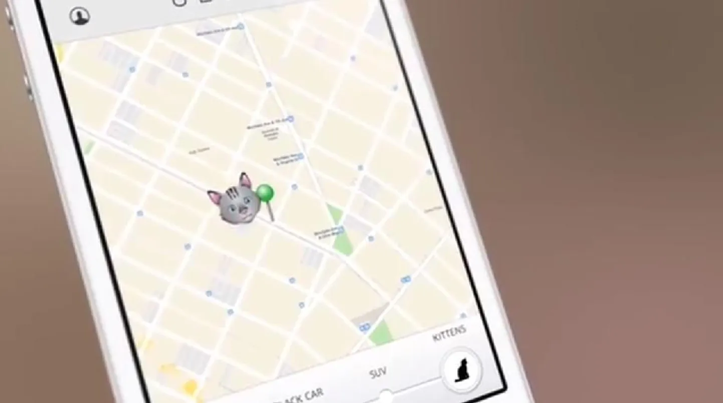 Uber on püüdnud tähelepanu ka kasside paitamise aktsiooniga.