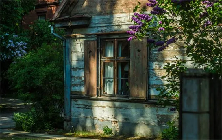 Raksta foto