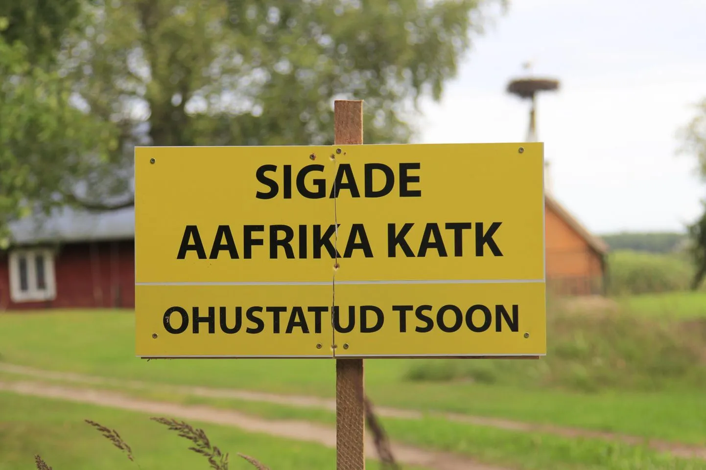Табличка, предупреждающая об опасности африканской чумы свиней.