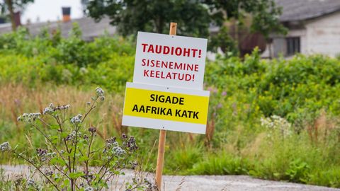 PTA soovib Viljandimaal asuva põllumajandusloomade matmispaiga lõpuniehitust