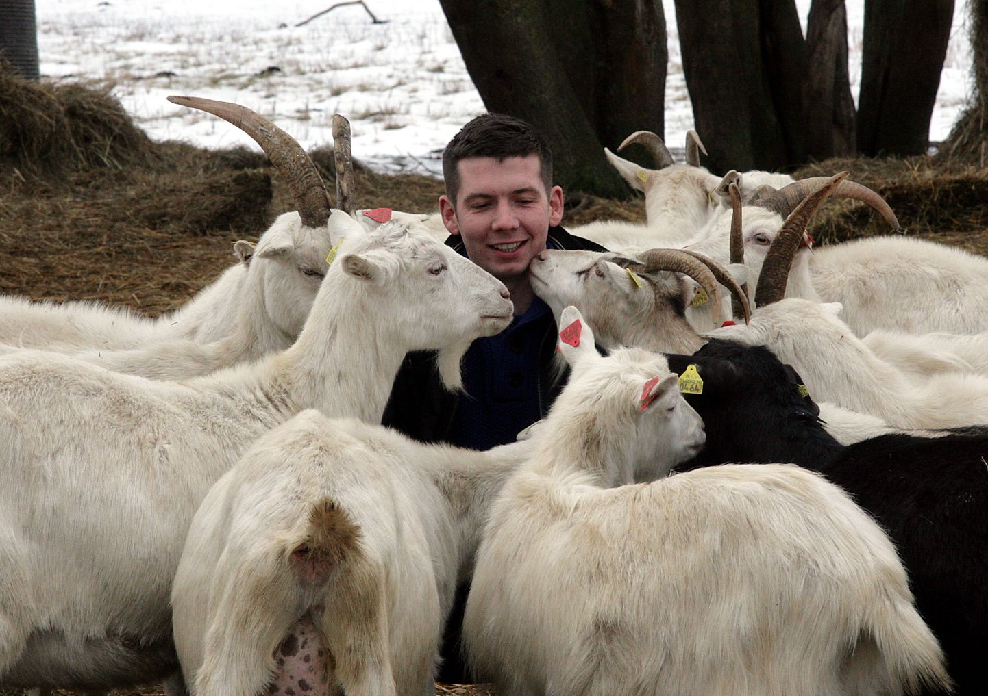 Мартин Репинский, десять лет назад прославившийся разведением коз, продал ферму и поставил точку в своем бизнесе в Ида-Вирумаа.