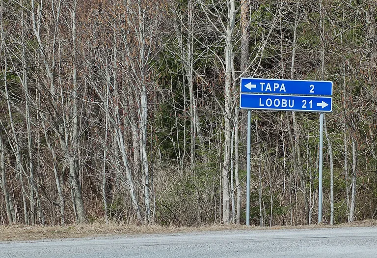 Tapa ja Loobu maantee.