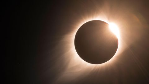 Солнечное затмение: странное поведение животных, погоня за тенью и взгляд на корону – за чем будут следить ученые