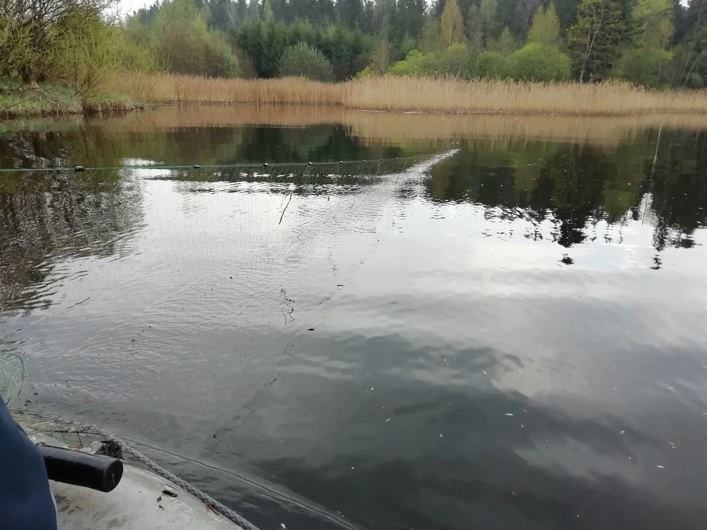 Pildil nakkevõrk, mis oli üle jõe tõmmatud.