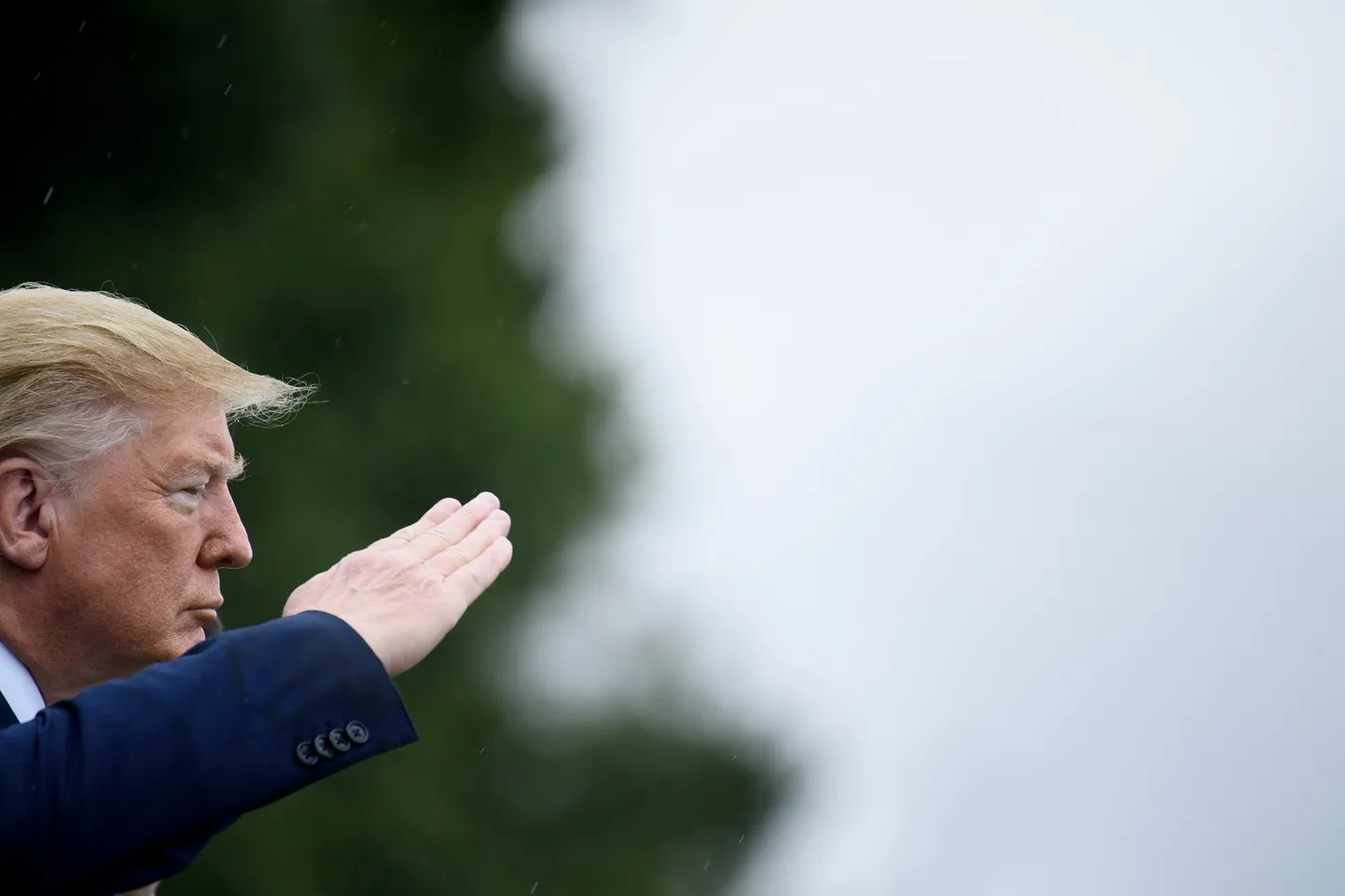 Donald Trump.