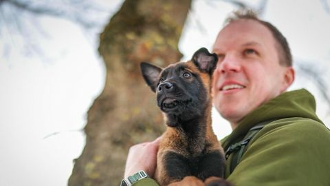 Eestisse saabus uus neljajalgne korravalvur