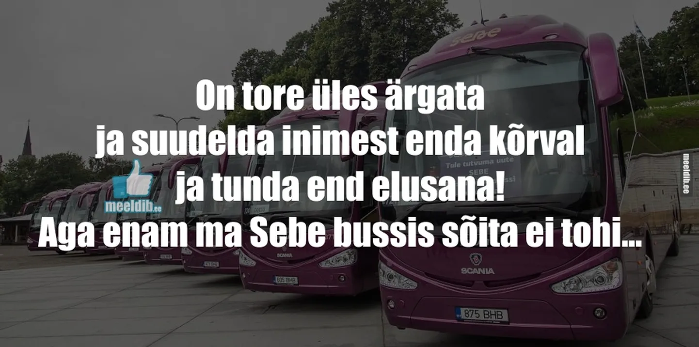 Artikli foto