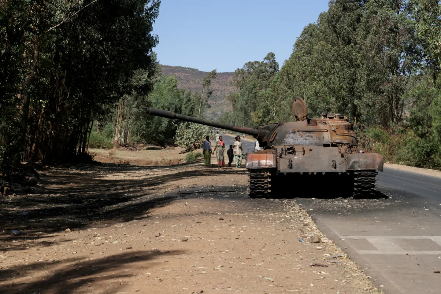 Tigray piirkond