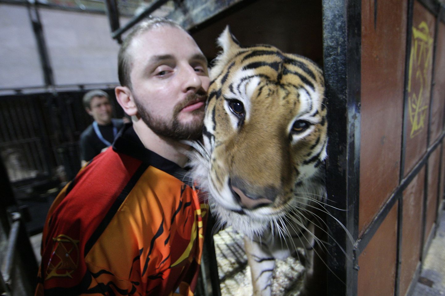 Аскольд Запашный с тигром.