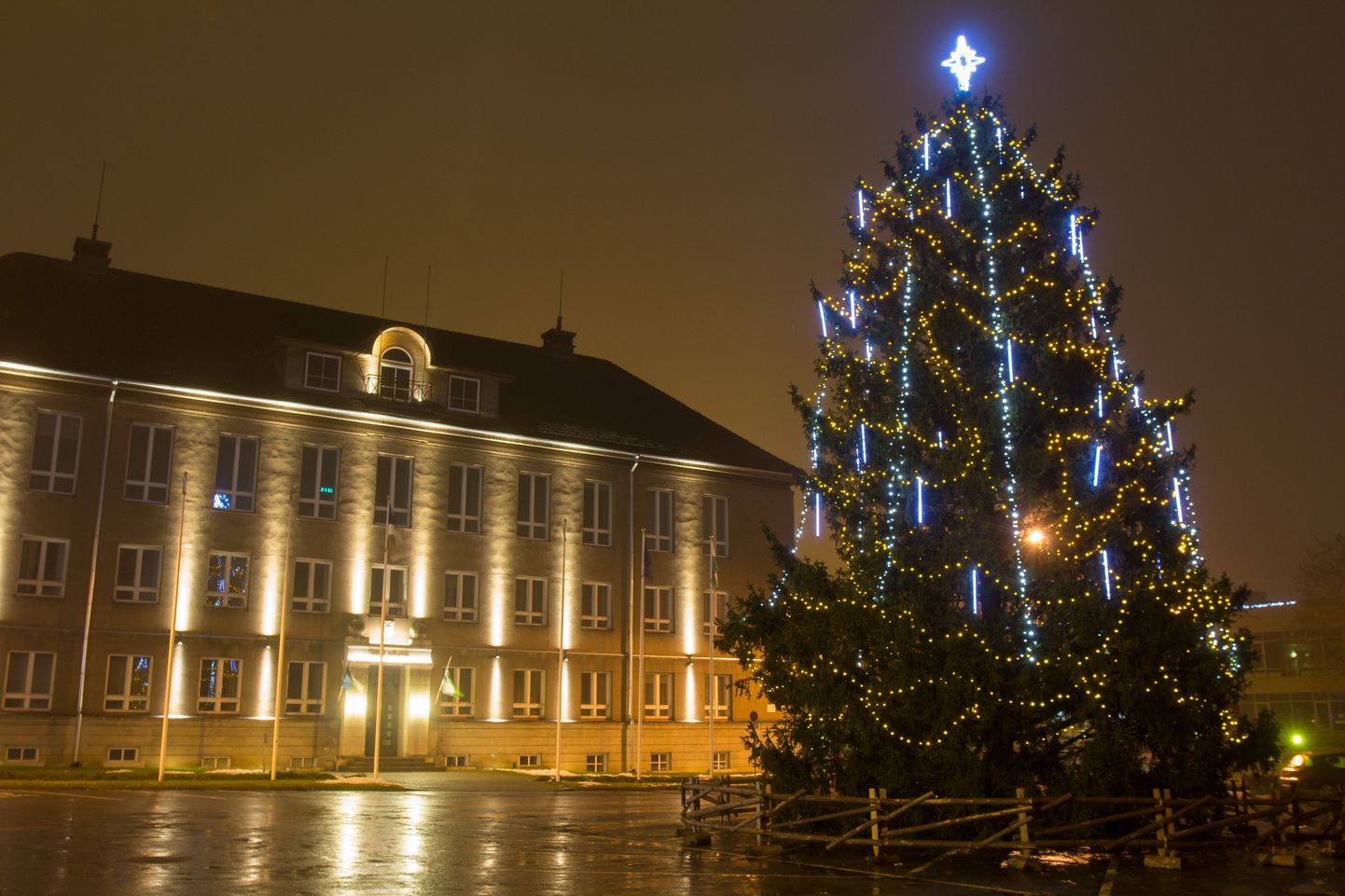 Eelmistel jõuludel ja nääridel Viljandit ehtinud jõulupuud olid pärit Vana-Võidust.