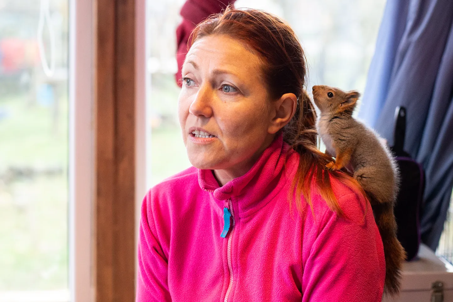 Päite loomapargis tegeldakse lisaks kassidele ja koertele ka hätta sattunud metsloomadega. Oravapoegi on Ksenia Klotškova päris mitu üles kasvatanud ja siis loodusesse lasknud.