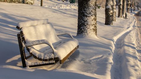 Во вторник жителей Эстонии ждет приятная зимняя погода