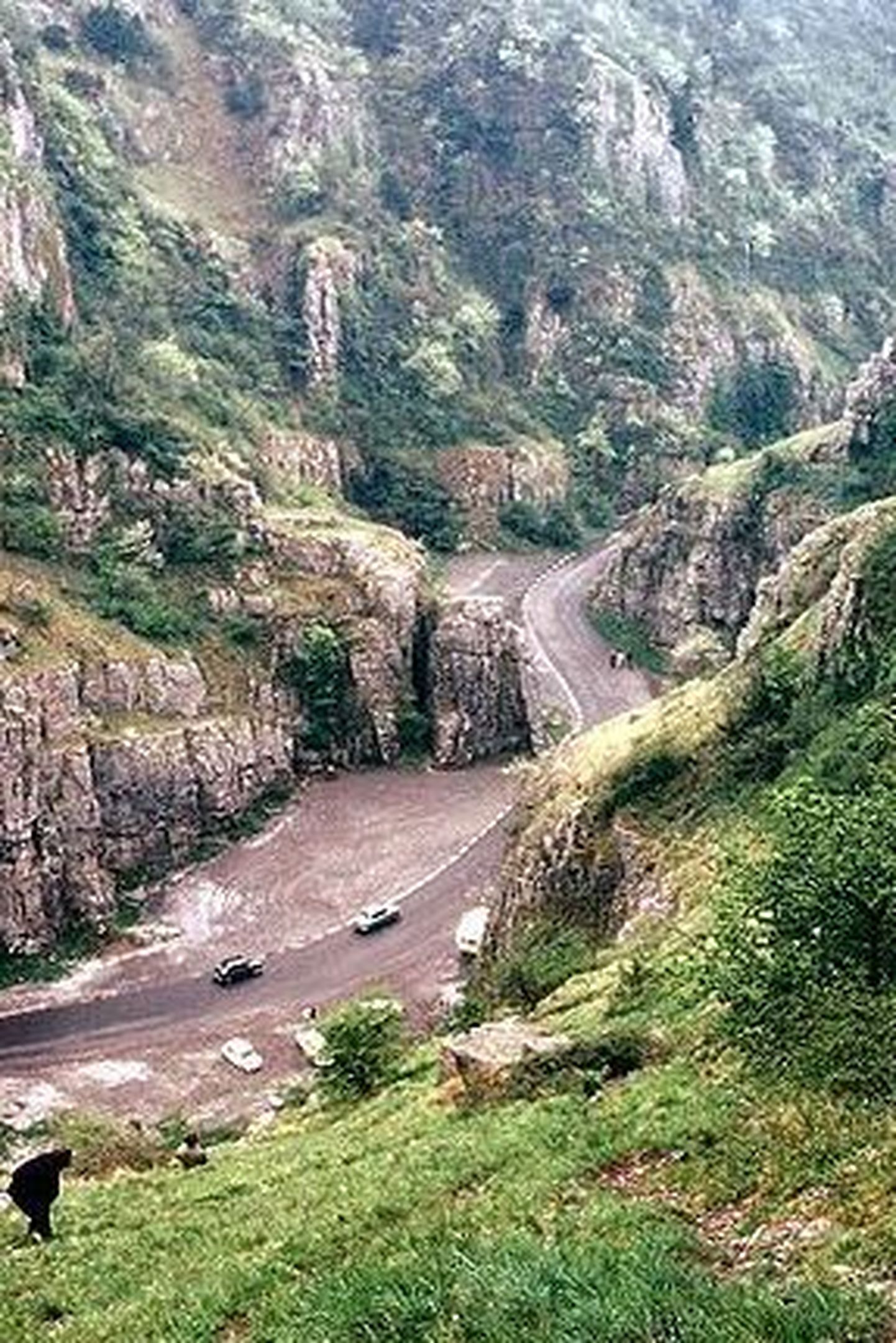 Cheddari kuristiku koobastes leidsid peavarju 14 700 aasta tagasi Briti saartele jõudnud kütid-korilased