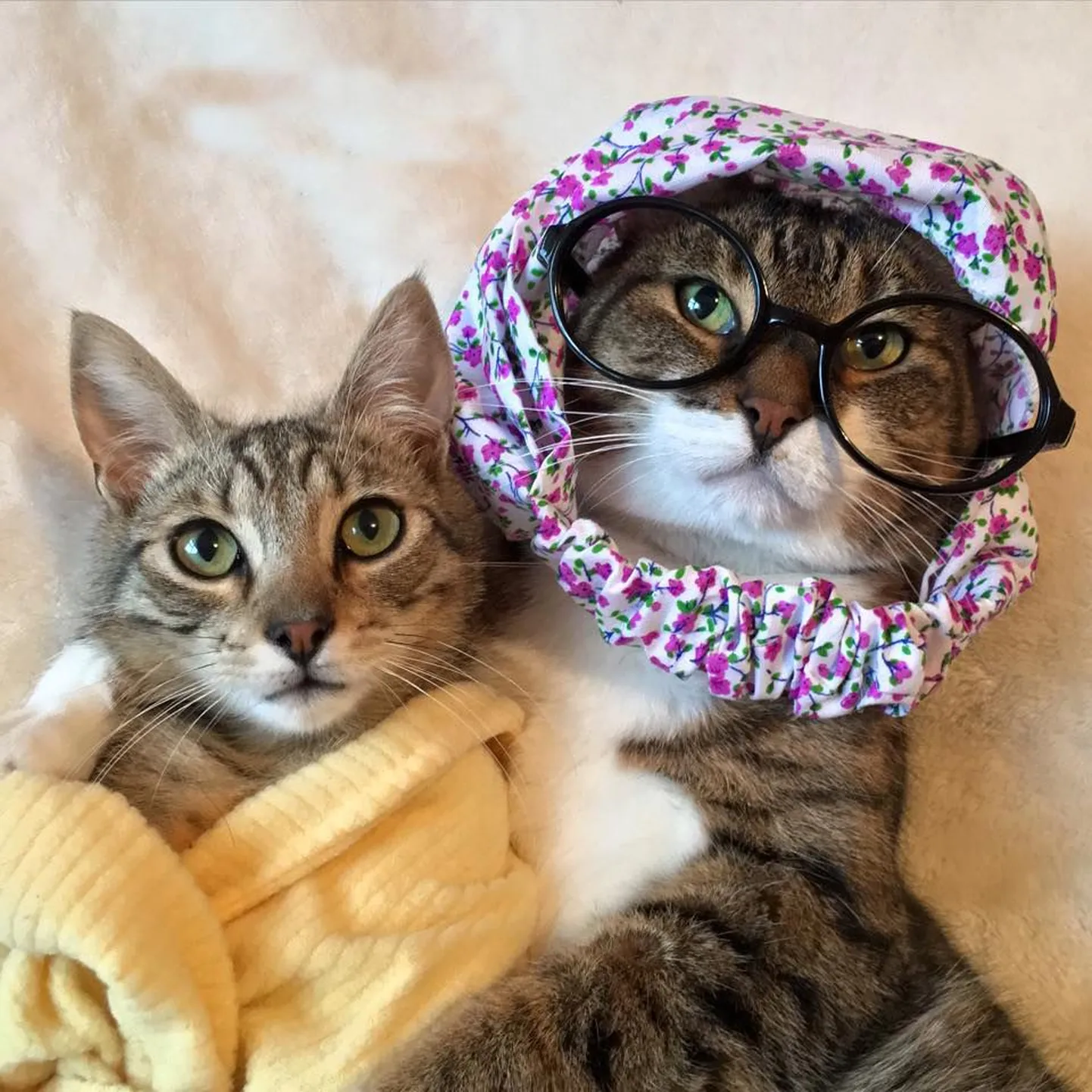 Cleo ja Joey