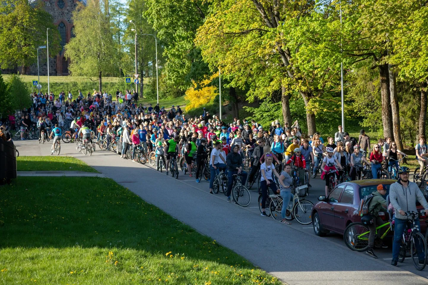 Gümnasistide nädala üks tuntumaid ja rahvarohkemaid ettevõtmisi on olnud Velokulg. Nädala jooksul on aga iga päev üritusi, millele on oodatud kogu linnarahvas.