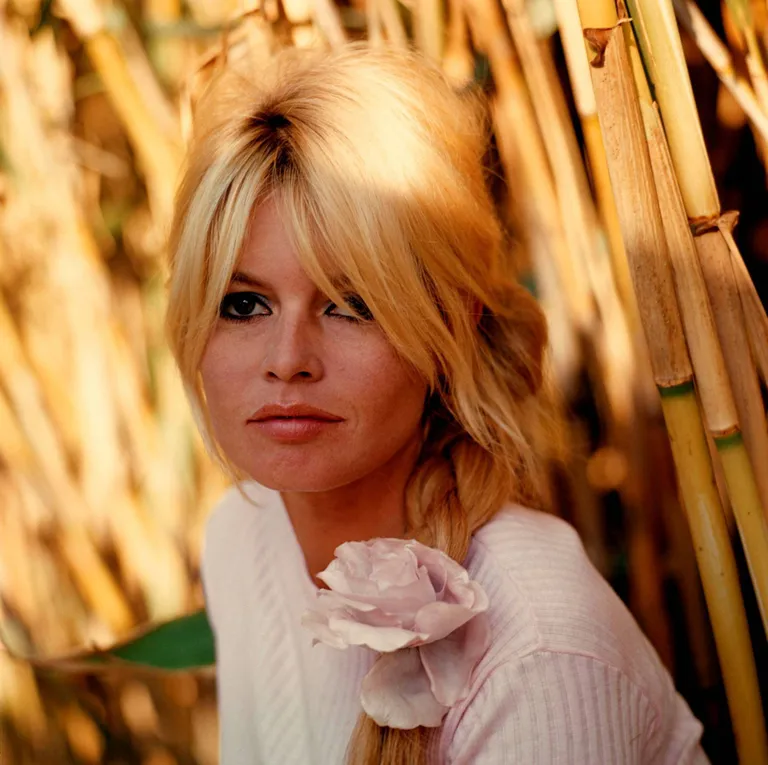 Brigitte Bardot