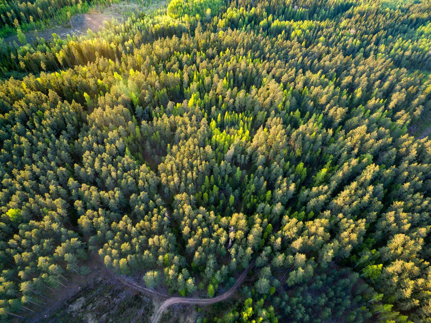 Rulli küla lähistel metsatukas, kus maapinnal võib näha vaid valle, kraave ja üksikuid lagendike, näeb droonilt ligi 300meetrise läbimõõduga sümmeetrilist heksagrammi ehk kuuskanti.