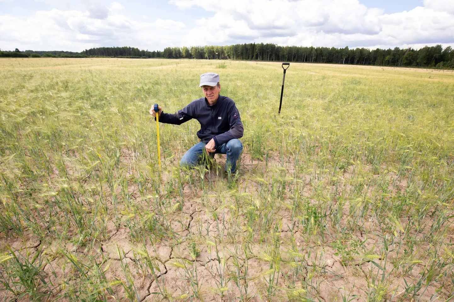Kui tänavu juulis võis Metstaguse Agro juht Teet Kallakmaa põua käes vaevleval viljapõllul toimuvat pidada erakorraliseks, siis järgmise põllumeeste põlvkonna jaoks on säärane pilt tavaline.