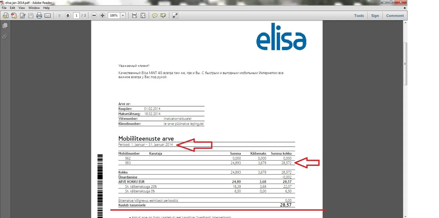 Elisa arve.