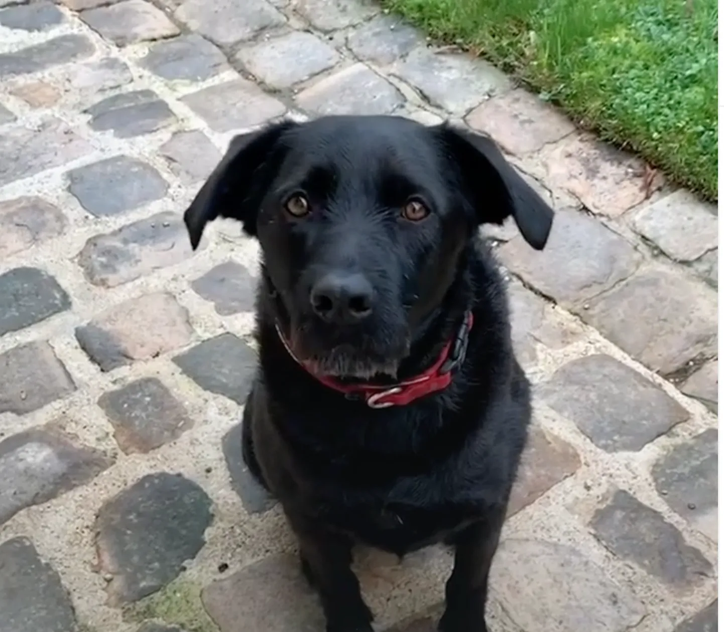Raksta foto