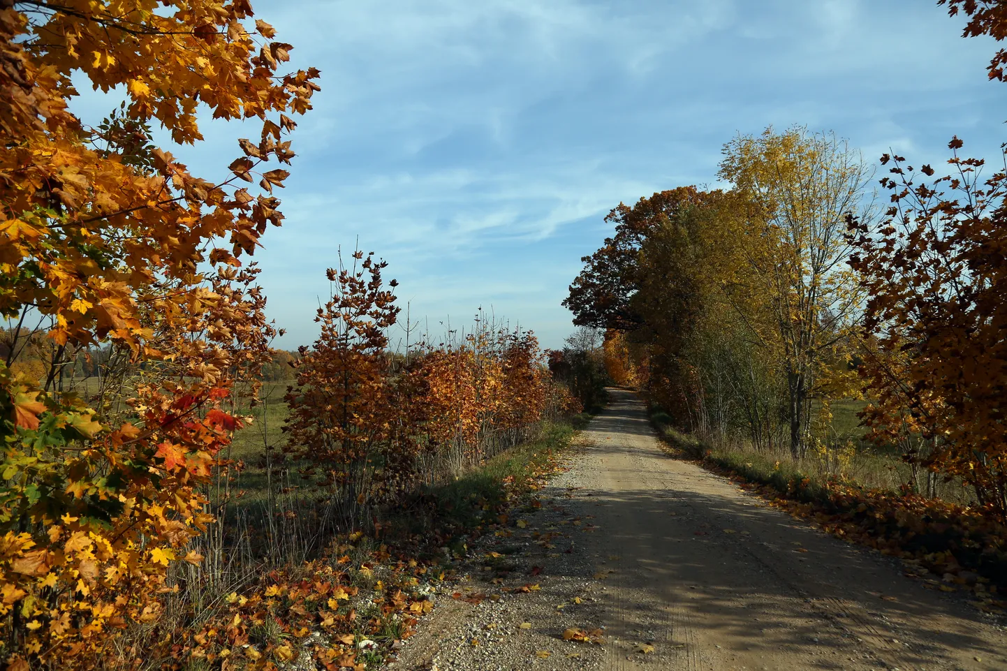 Rudens ainava Drabešu pagastā.