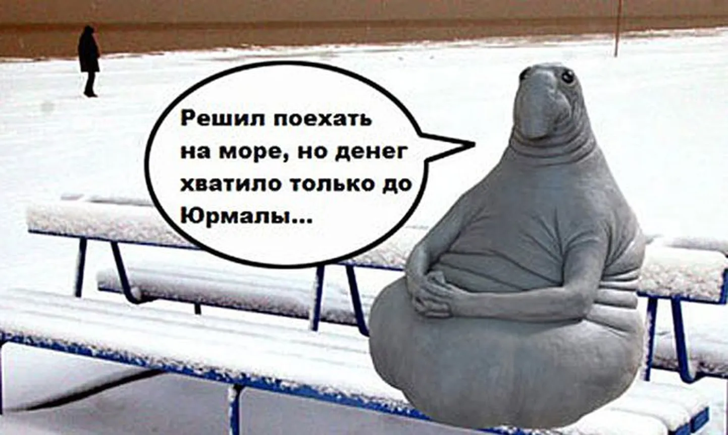 Фото статьи