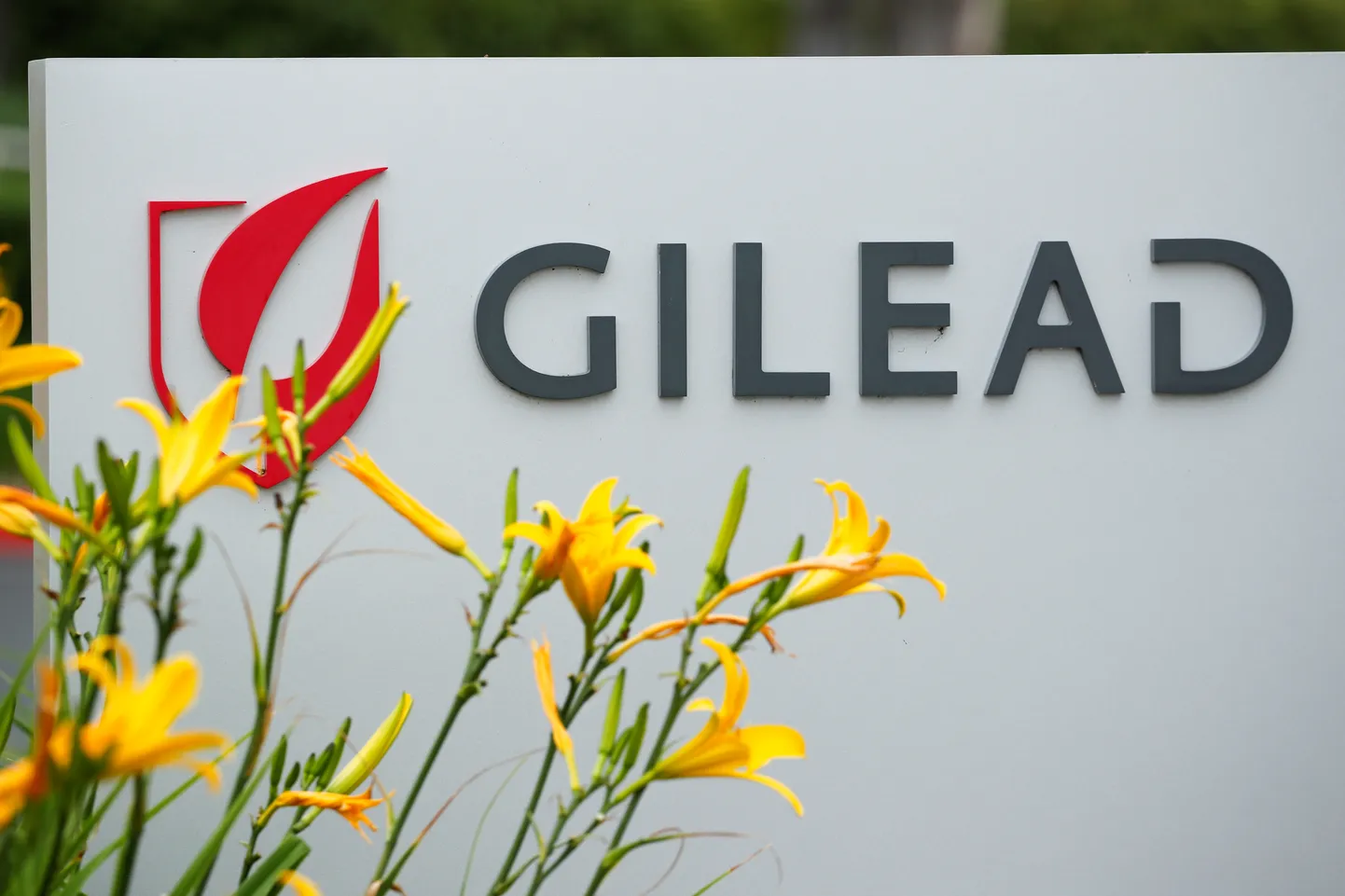 Remdesiviiri tootva USA farmaatsiaettevõtte Gilead logo