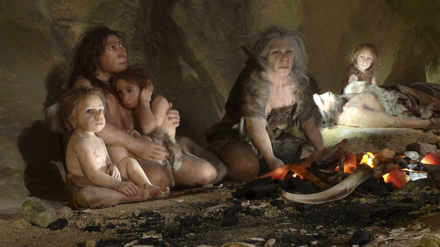 Rekonstruktsioon neandertallastest.