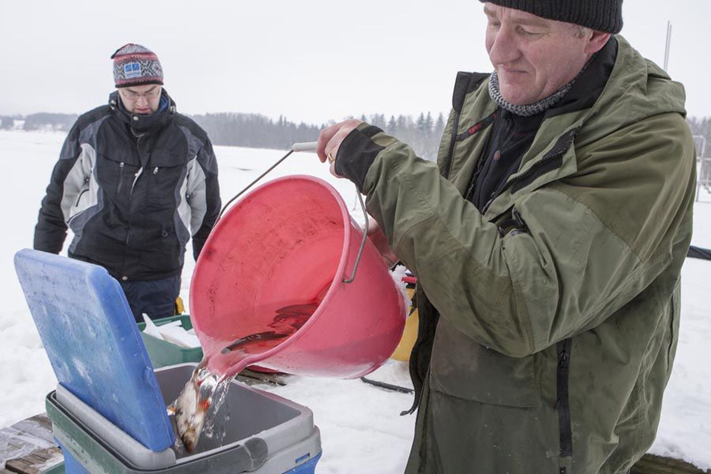 Eile sai õngitsemisvõistluse tarvis numbrimärgi külge 130 Viljandi järve kala. Sellest, milliseid tarkusi tuleks nende väljapüüdmiseks silmas pidada, räägib täna kell 21 ETV2 eetris olev saade «Kalailm».